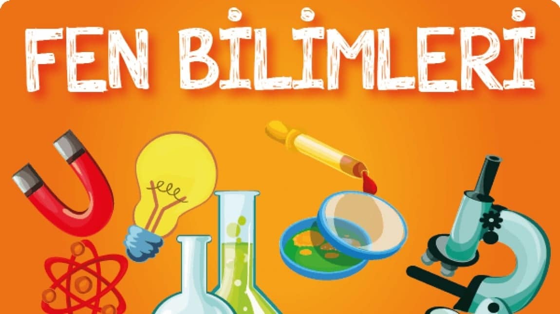 Fen Bilimleri