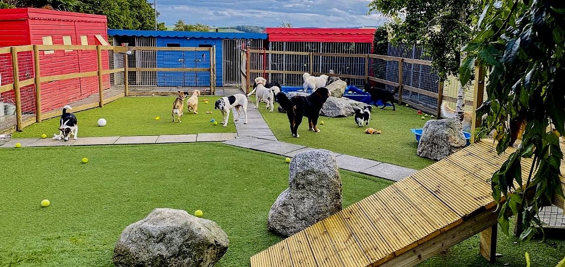 Köpek Oteli